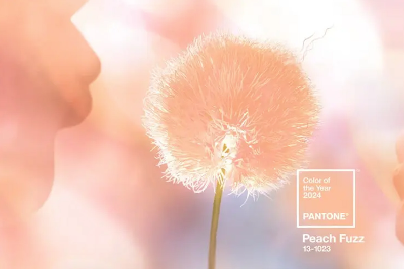 Pantone 2024年度顏色：新的一年，新的趨勢