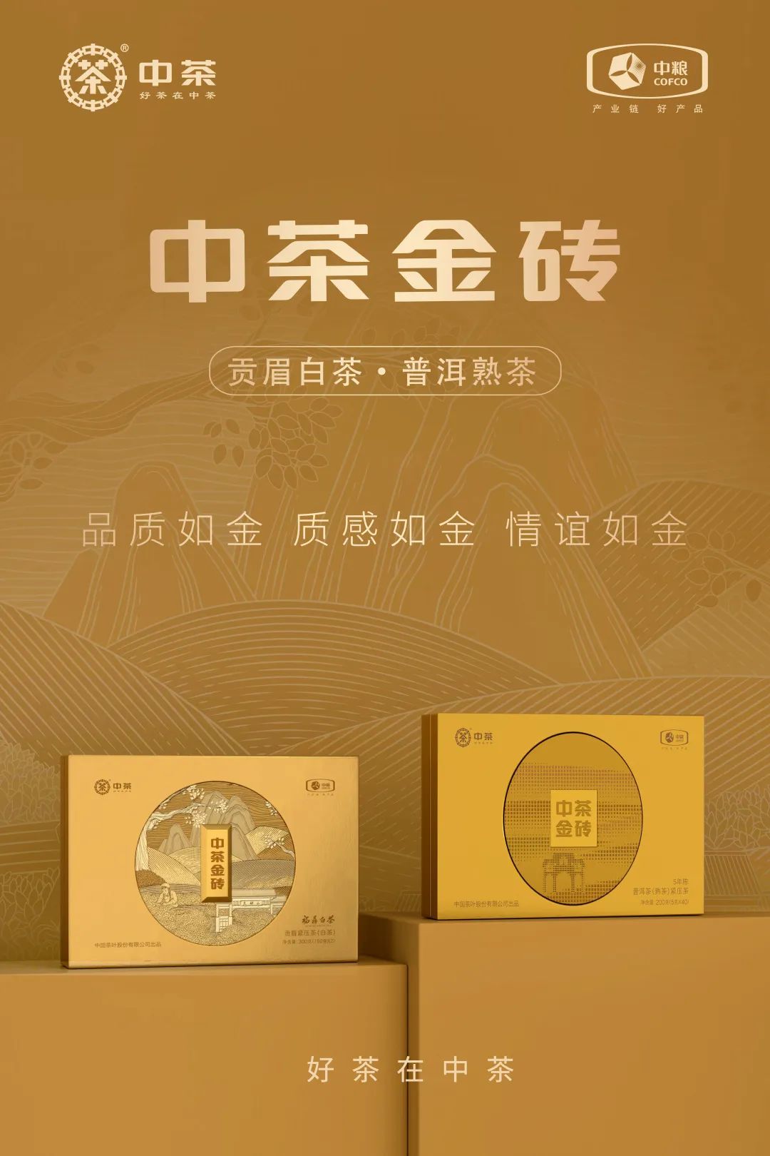中茶金磚包裝設(shè)計