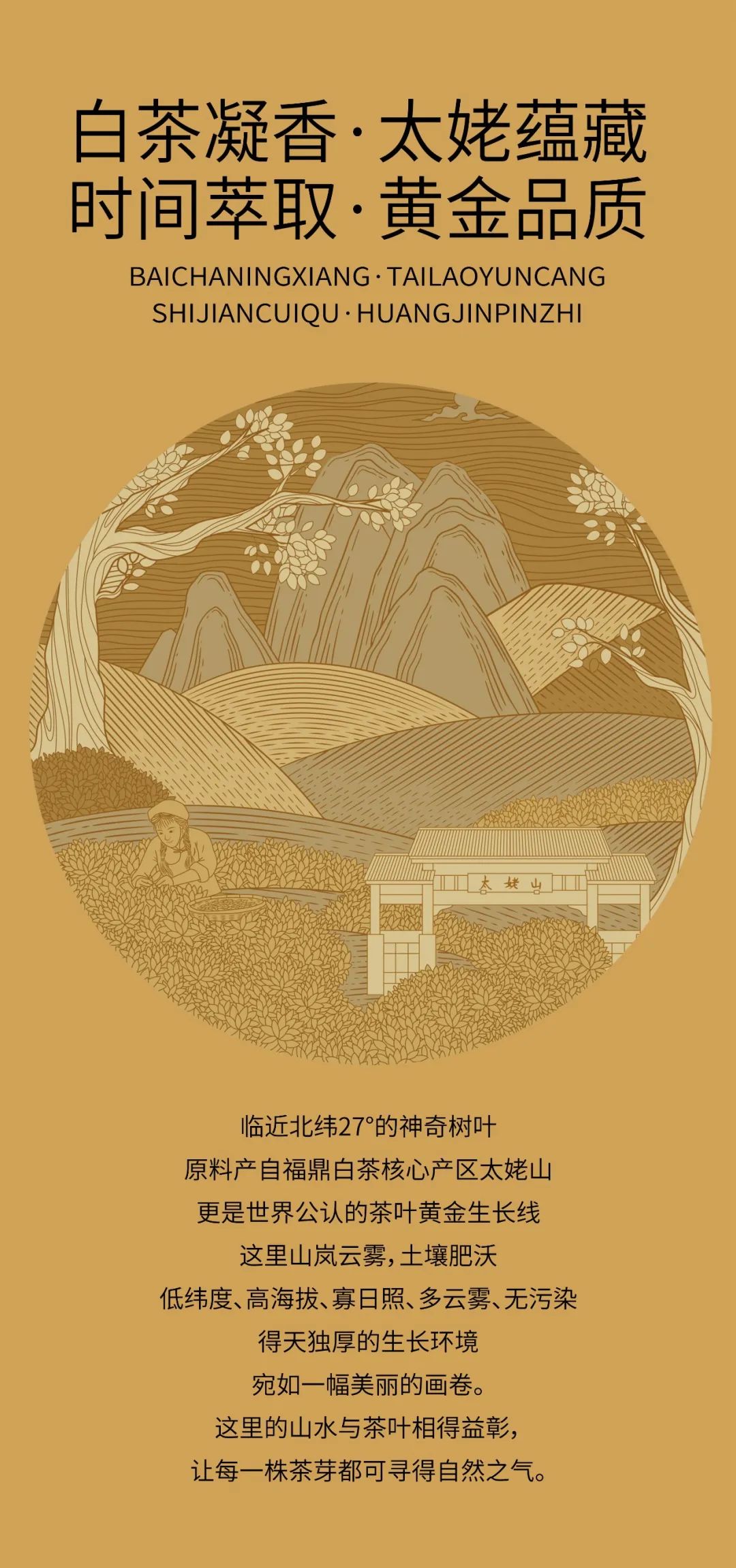 北京茶葉專業(yè)包裝設(shè)計公司